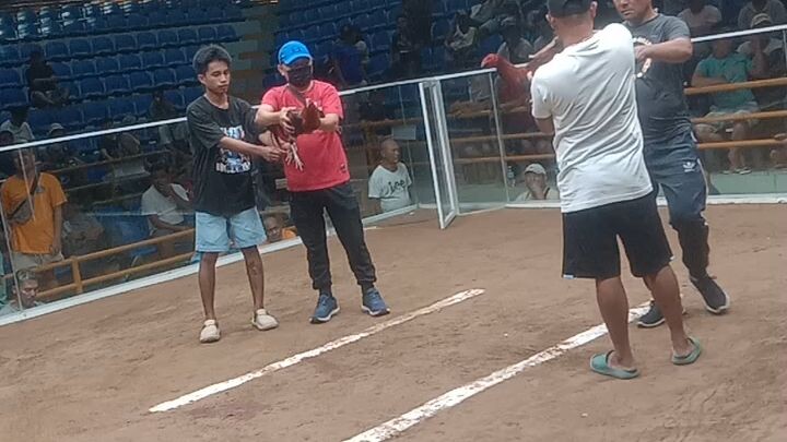 aug.1 4stag dervy...fyt#1