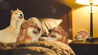 男女生过生日的区别