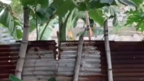 My hiwa na ung likod NG yero