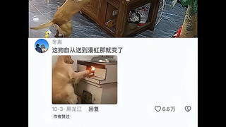 【Rindu Cinta A】Video terbaru telah tayang, ayo segera saksikan!