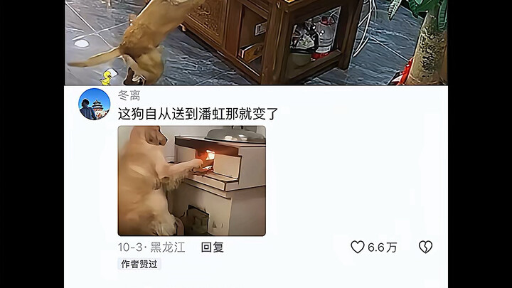 【Tương Tư Tình A】Video mới nhất đã ra mắt, mau đến xem ngay nào!