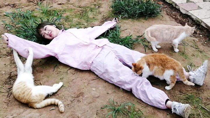 What would happen if you steeped yourself in catnip perfume?