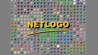 Netlogo simulation (until conflict)