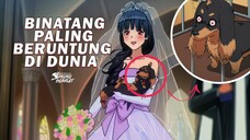 Anime Dimana MC Bereinkarnasi Jadi Anji*g Lucu