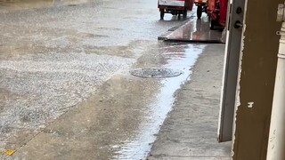 Mỗi khi trời mưa, lũ gián ở cửa hang này sẽ cùng nhau bay lên🆙