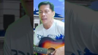 Annie's Song All Time best of John Denver