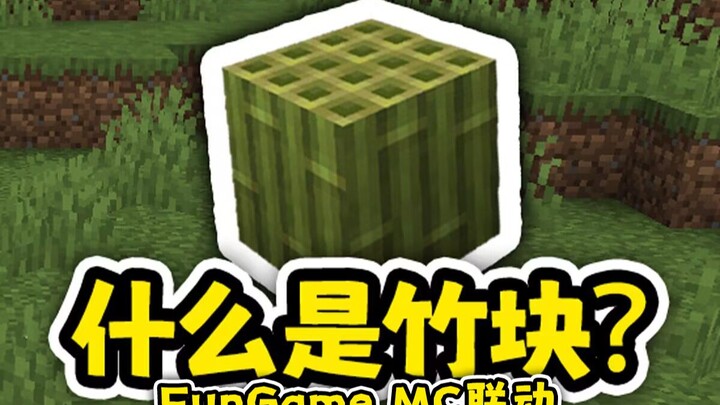 Natural Bamboo Blocks! How Do You Know What Bamboo Blocks Are? Epic Funny Hide-and-Seek Moments in M