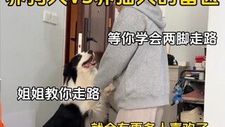 养狗人的雷区VS养猫人的雷区