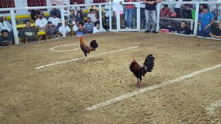 1st fight win