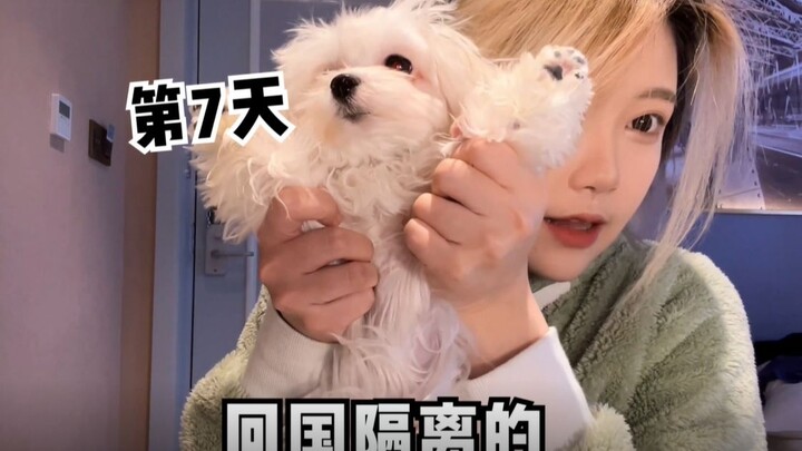 اليوم السابع من عودة غو دانزي إلى الوطن مع GL!!!