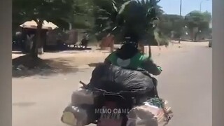 Những khoảnh khắc siêu hài hước