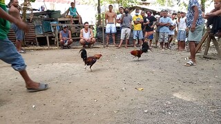 Talagang Matira Matibay Banderahan po Amin jan  Mga ka Gamefarm!