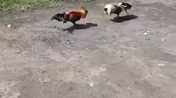 gb x 5k sweater spar sa money maker gray