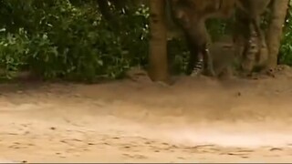 ตัวอย่างใหม่ Jurassic World