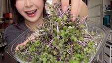 Sayur newborn …. Lucu banget deh …. Ternyata rasanya beda lho newborn gini sama yang sudah dewasa