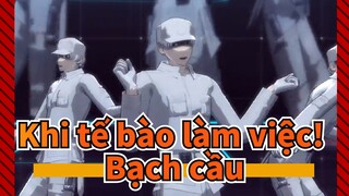 Khi tế bào làm việc!|Bạch cầu mới× Merci Caprice