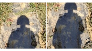 一看就是勤劳的女生，出门随身背个铁锹