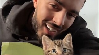 第一次养猫的小哥，给心爱的小猫咪买了一些玩具。整个人变成了话痨，声音也不自觉地“夹”了起来