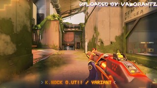 Get a full look at everything contained within the Radiant Entertainment System skin and its three r