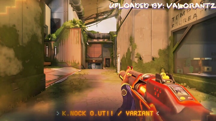 Get a full look at everything contained within the Radiant Entertainment System skin and its three r