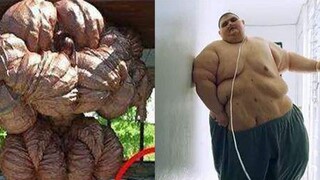 الحلم مقابل الواقع