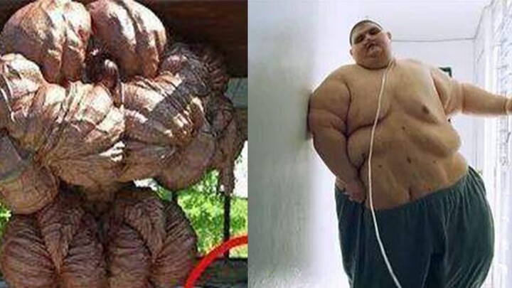 Ideal vs. Realitas