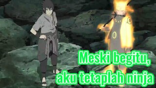 Meski begitu, aku tetaplah ninja