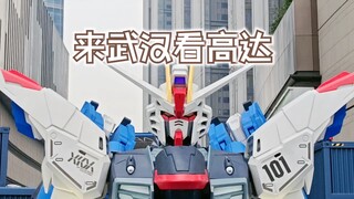 2024年3月16日至31日武汉高达巡展