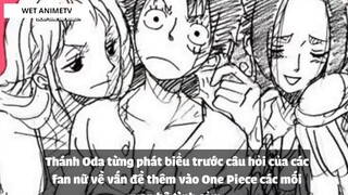 Top 8 Cặp Đôi Được Yêu Thích Trong One Piece #5 1