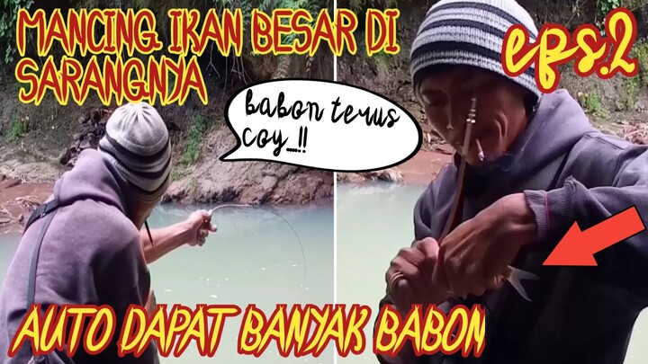 Mancing ikan besar di sarangnya auto dapat banyak episode 2