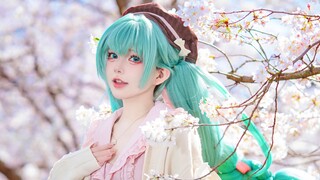 是初音未来？不，是出音味来！