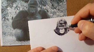 Jangan cintai aku tanpa hasil | Sketsa orangutan yang terluka karena cinta dengan pulpen