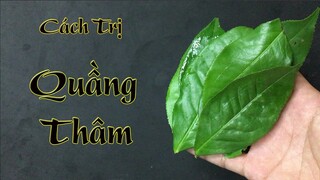 Mẹo hay chữa quầng thâm mắt tại nhà bằng lá trà xanh, hiệu quả mang lại chỉ sau vài lần thực hiện