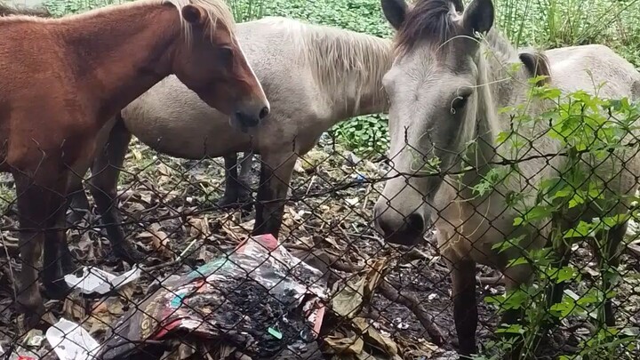 rancho balagtas
