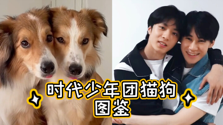 دليل صور القطط والكلاب لفريق شباب العصر