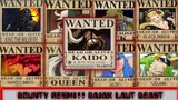 Terungkap Bounty Dari Bajak Laut Beast. King Pernah Melawan Shanks? Vivre Card DataBook One Piece