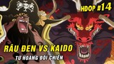 Tứ Hoàng Kaido vs Râu Đen ai sẽ thắng - Shanks có phải là Boss cuối ? [ Hỏi đáp One Piece #14 ]