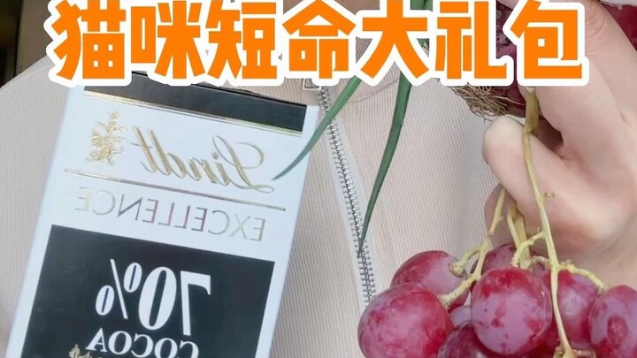 Makanan yang sering ditaruh begitu saja dan mudah dimakan kucing.