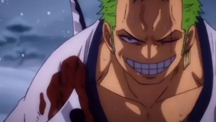 WHEN ZORO SMILES, YOU BETTER BACK OFF