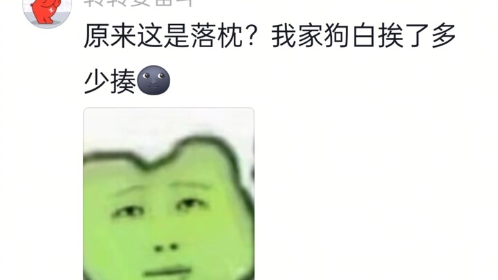 My dog woke up this morning with a stiff neck! Haha, I’m dying of laughter!