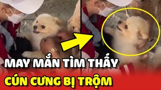 Cô gái may mắn CHUỘC LẠI được bé cún BỊ TRỘM tại Sài Gòn 🥰 | Yêu Lu