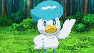 宝可梦TV动画预热：火箭队探险队3！润水鸭篇（中文）