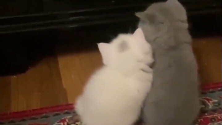 “أريد أن أبقى معك إلى الأبد”