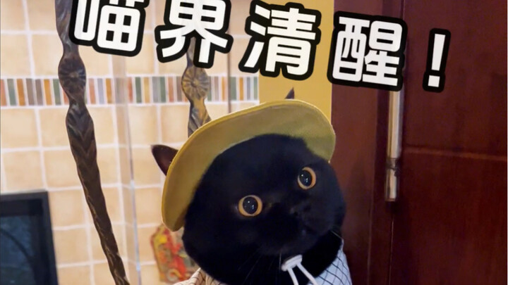 I heard you love shipping couples?