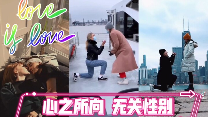 心 之 所 向  无 关 性 别 LOVE IS LOVE＞3<