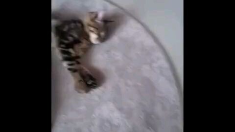 Bros thirsty 💀💦