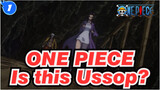 ONE PIECE|Is this Ussop?The Super one？_1