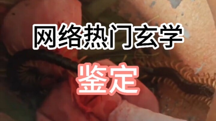 【จิ่งช่วยว่า】สอนทีละขั้นตอนให้คุณปล่อยเสน่ห์ใส่คนที่แอบชอบ