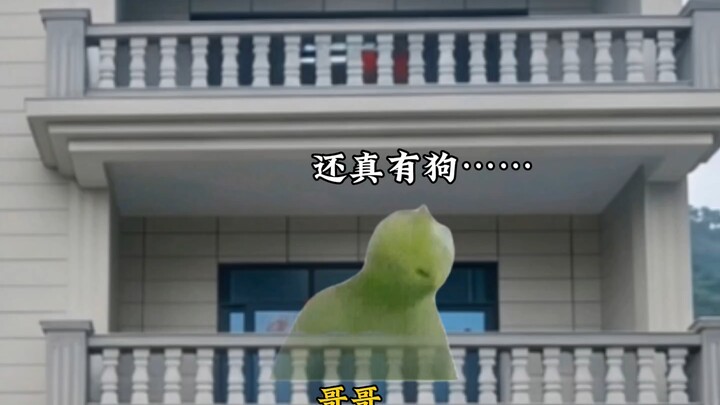 Ở nông thôn, xác suất bị chó cắn là bao nhiêu? #meme_mèo #câu_chuyện_meme_mèo #tiểu_kịch_trường_meme