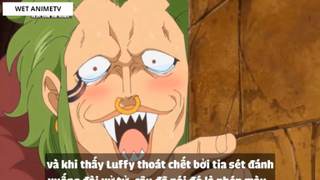 Top 7 Thánh Bựa Cực Kì Lầy Lội Trong One Piece #3 2